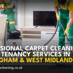 professional carpet cleaning